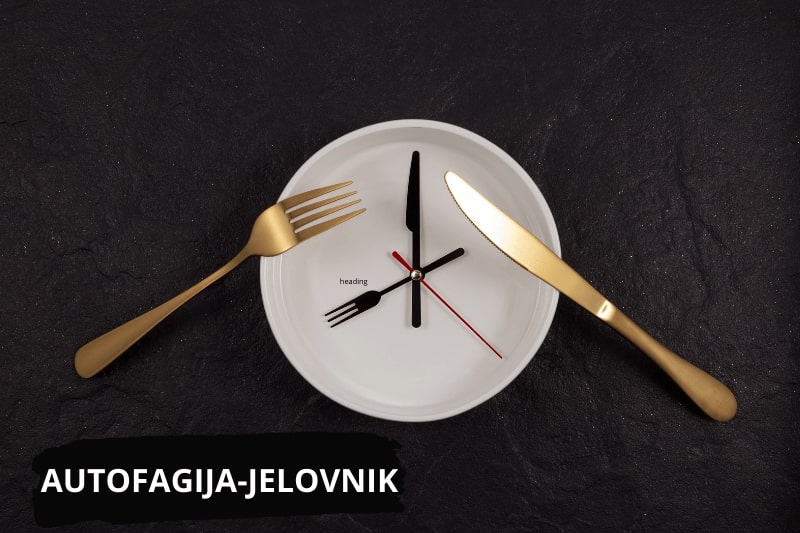 autofagija jelovnik